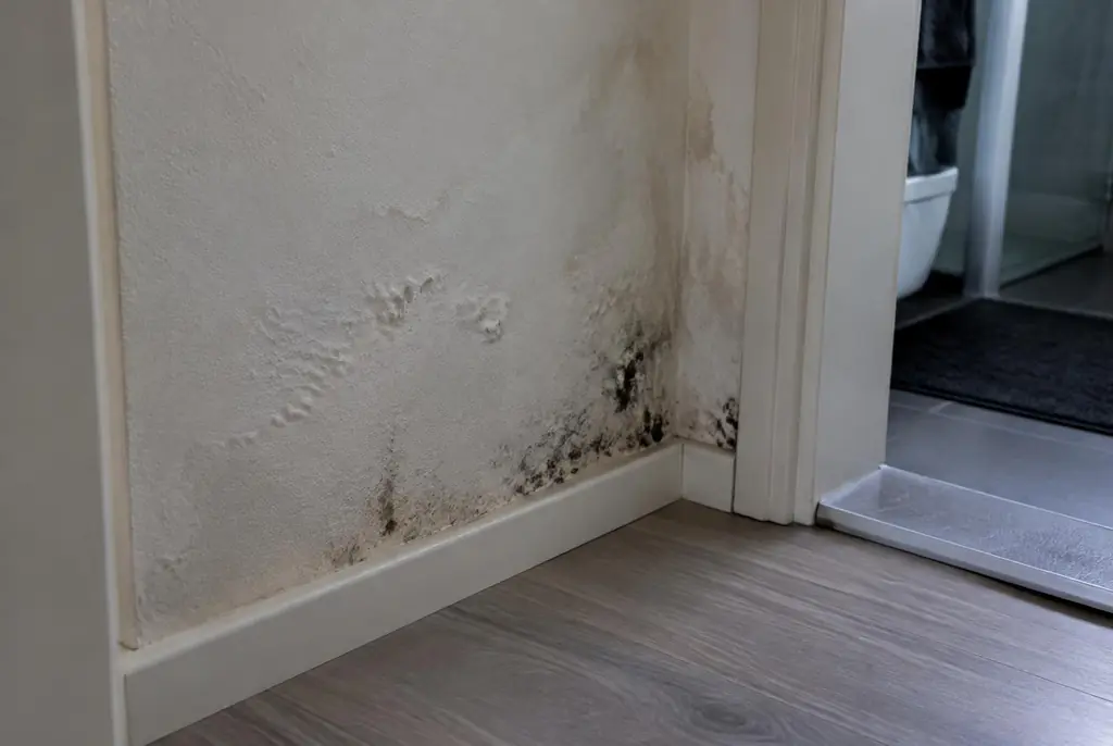 Lekdetectie Zevenhoven – vochtplek met schimmel op een muur